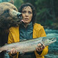 O ci pensi tu, o ti affidi a Spesa Difesa - Storia 1