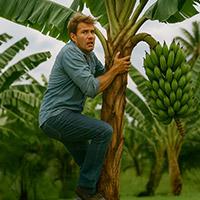 O ci pensi tu, o ti affidi a Spesa Difesa - Storia 6